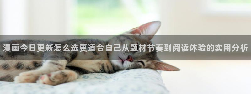 免费漫画在线平台：漫画今日更新怎么选更适合自己从题材节奏到阅读体验的实用分析