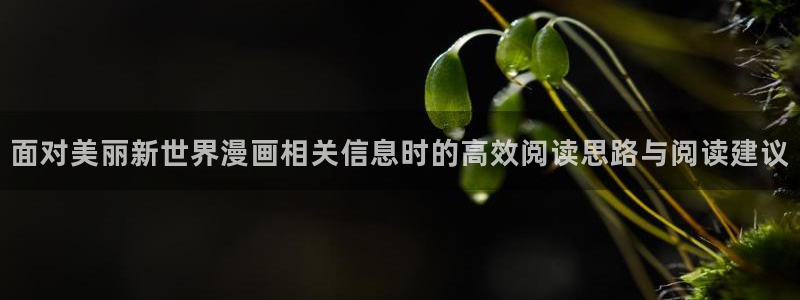 免费看漫画网站大全：面对美丽新世界漫画相关信息时的高效阅读思路与阅读建议